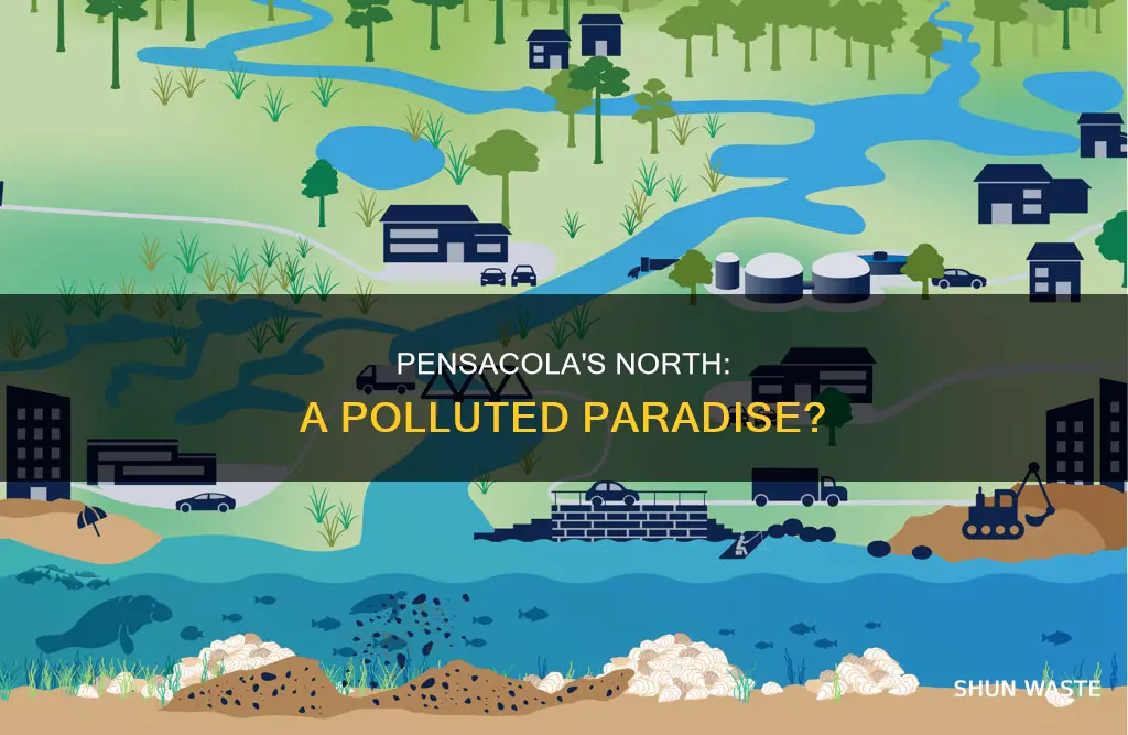 is north pensacola polluted