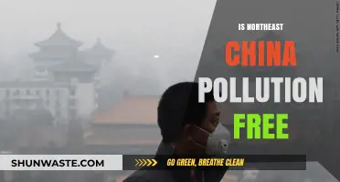 China's Northeast: Pollution-Free Paradise?