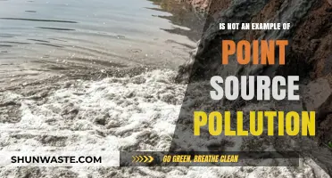 Point Source Pollution: What Isn't It?