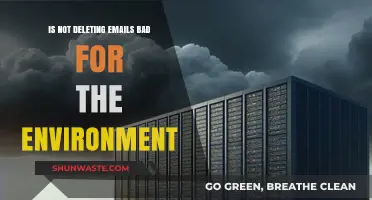 Is Hoarding Emails Harming Our Planet? Uncovering the Environmental Impact