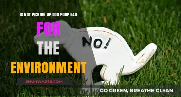 Dog Poop's Environmental Impact: Why Ignoring It Harms Our Planet