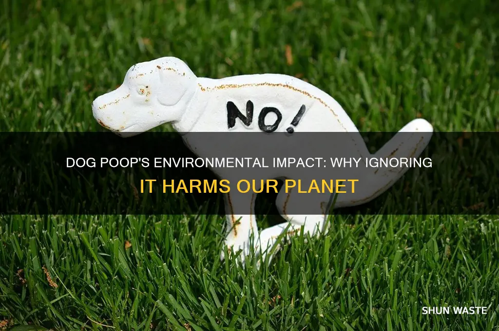 is not picking up dog poop bad for the environment