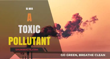Nox Pollutant: Is It Toxic?