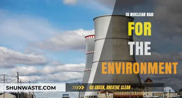 Nuclear Energy: Environmental Savior or Ecological Threat?