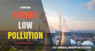 Nuclear Energy: Low Pollution Power Source?
