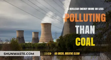 Nuclear Energy vs Coal: Which Pollutes More?