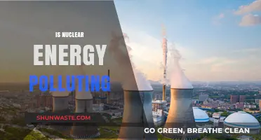 Nuclear Energy: Pollution or Solution?