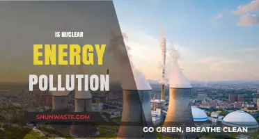 Nuclear Energy: Pollution or Solution?