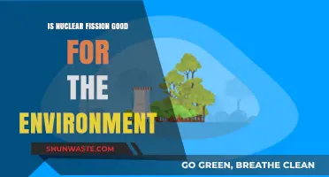 Nuclear Fission: Environmental Savior or Ecological Threat?