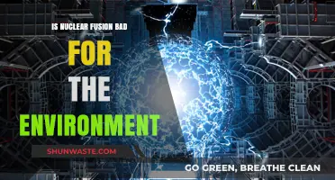 Is Nuclear Fusion Environmentally Harmful? Exploring Its Green Potential