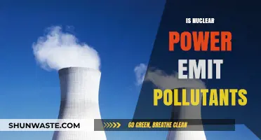 Nuclear Power: Pollutants or Clean Energy?