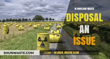 The Looming Challenge of Nuclear Waste Disposal: A Critical Issue