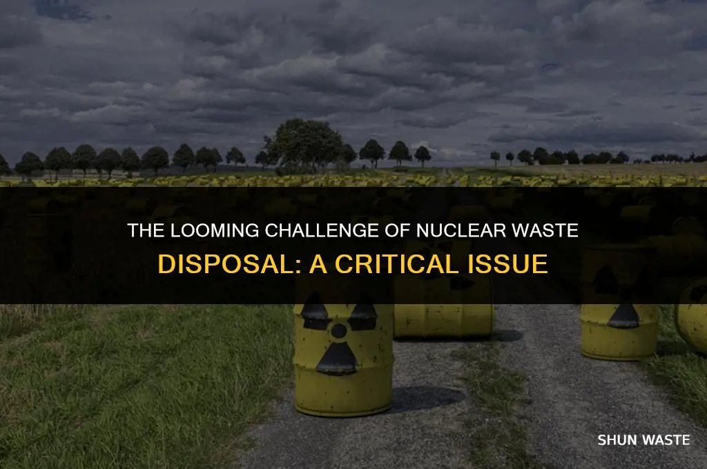 is nuclear waste disposal an issue