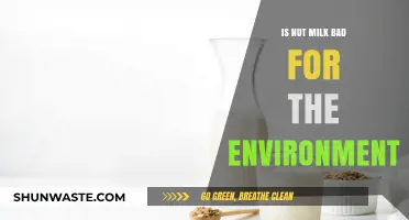 Nut Milk's Environmental Impact: Sustainable Choice or Eco-Friendly Myth?