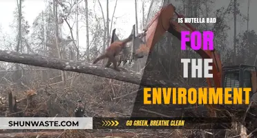 Nutella's Environmental Impact: Uncovering the Sweet Spread's Ecological Footprint