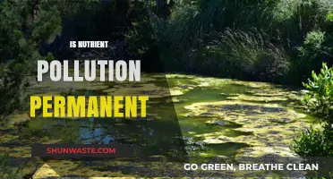 Nutrient Pollution: Can We Ever Recover?