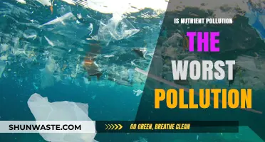 Nutrient Pollution: The Worst Environmental Crisis?