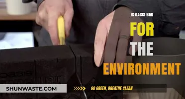 Are Oasis Products Harming Our Planet? An Environmental Analysis