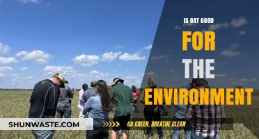 Oats and Sustainability: How This Crop Benefits Our Environment