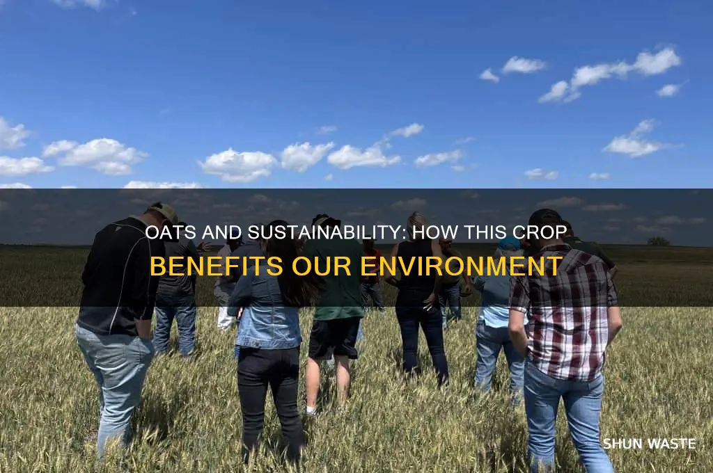 is oat good for the environment