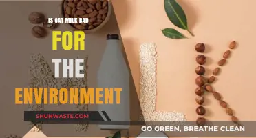 Oat Milk's Environmental Impact: Sustainable Choice or Hidden Harm?