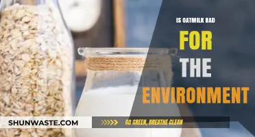 Is Oat Milk Eco-Friendly? Uncovering Its Environmental Impact