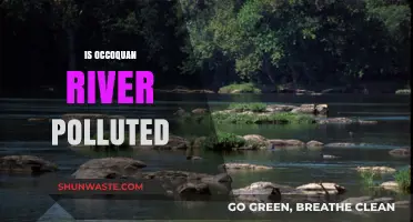 Occoquan River Pollution: Is It Safe?