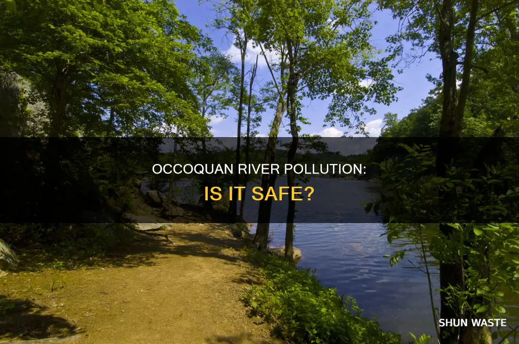 is occoquan river polluted