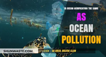 Ocean Acidification: Pollution's Twin Evil?