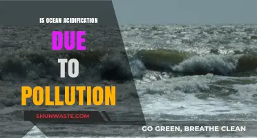 Ocean Acidification: Pollution's Impact on Marine Life