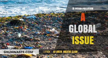 Ocean Pollution: A Global Crisis?