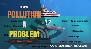 Ocean Pollution: A Global Crisis?