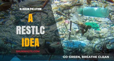 Ocean Pollution: An Everlasting Ecological Concern?
