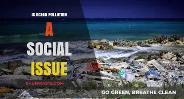 Ocean Pollution: A Social Issue or Global Crisis?