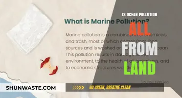 Ocean Pollution: Land's Impact on Marine Life