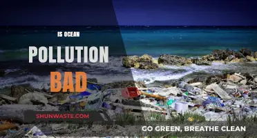 Ocean Pollution: A Global Catastrophe?