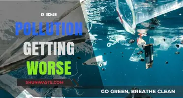 The Ocean's Pollution Crisis: Is It Getting Worse?