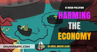 Ocean Pollution: Economic Impact and Environmental Harm