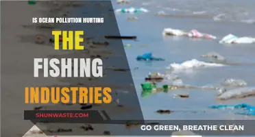 Ocean Pollution: Impacting Fishing Industries?