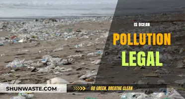 Ocean Pollution: Legal or Lawless?
