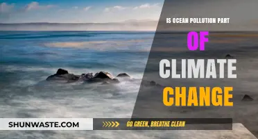 Ocean Pollution: Climate Change's Twin Evil