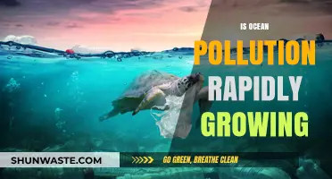 Ocean Pollution: An Ever-Growing Global Crisis