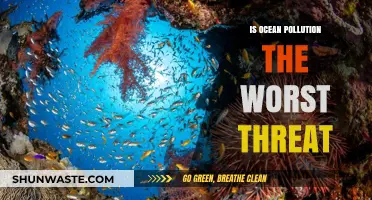 Ocean Pollution: The Worst Ecological Disaster?