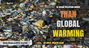 Ocean Pollution vs Global Warming: Which is More Deadly?
