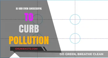 Odd-Even Rule: Effective Solution to Curb Pollution?