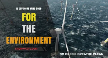 Offshore Wind Power: Environmental Benefits and Potential Impacts Explained