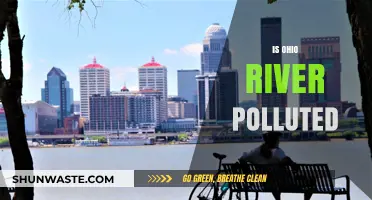 Ohio River Pollution: Is It Getting Worse?