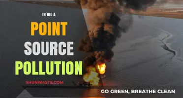 Oil Pollution: Point Source Problems and Solutions
