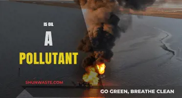 The Dark Side of Oil: Pollution and Its Impact