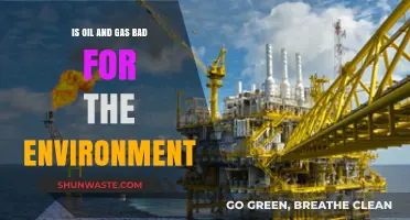 Oil and Gas: Environmental Impact and Sustainable Alternatives Explored